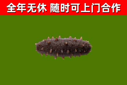 费市烟酒回收干海参.jpg